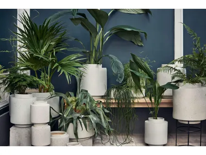 BOTANIQUE plant pot - Ø22 cm