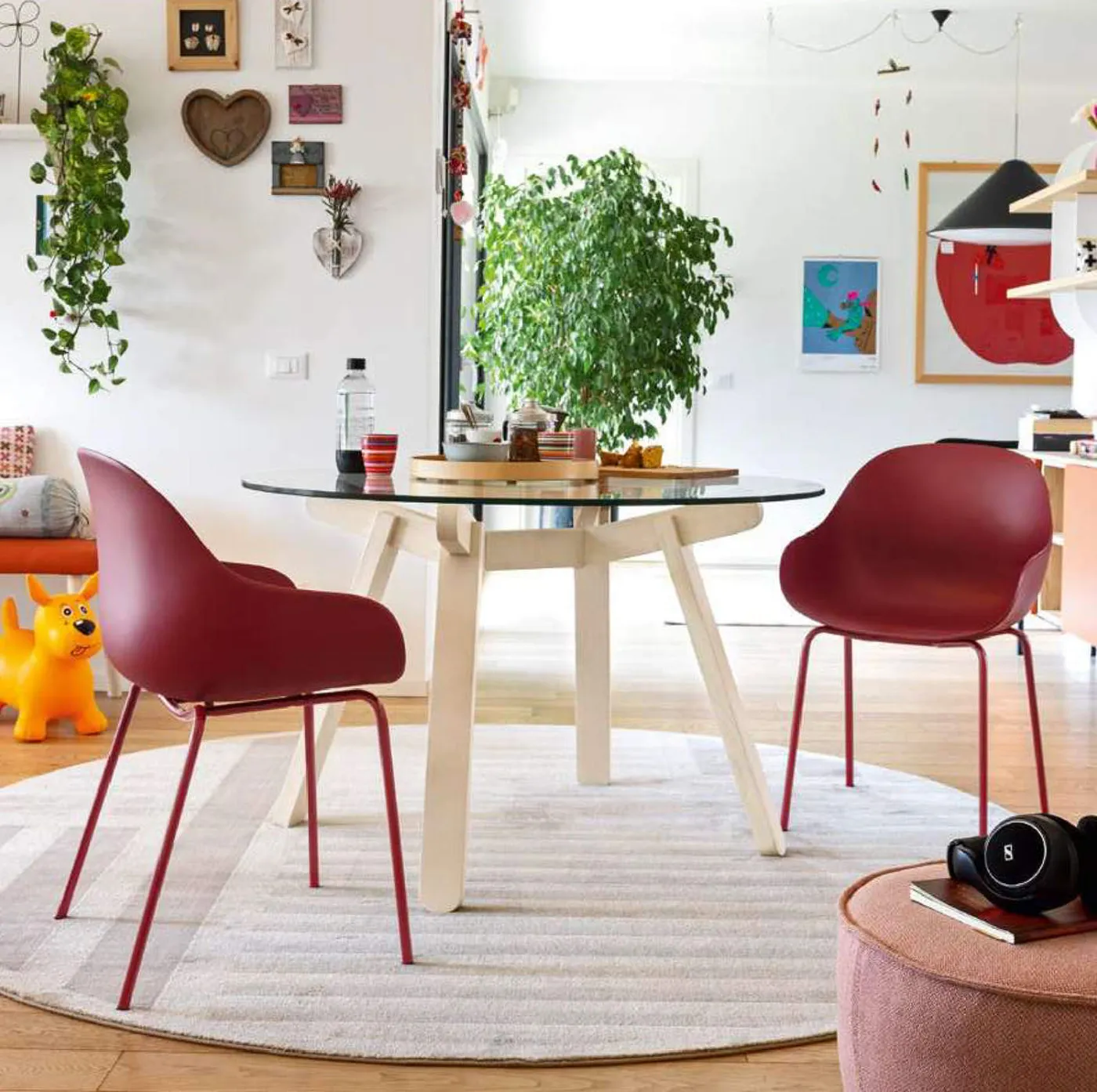 Connubia Academy pp dining armchair // Academy kárpitozott karosszék