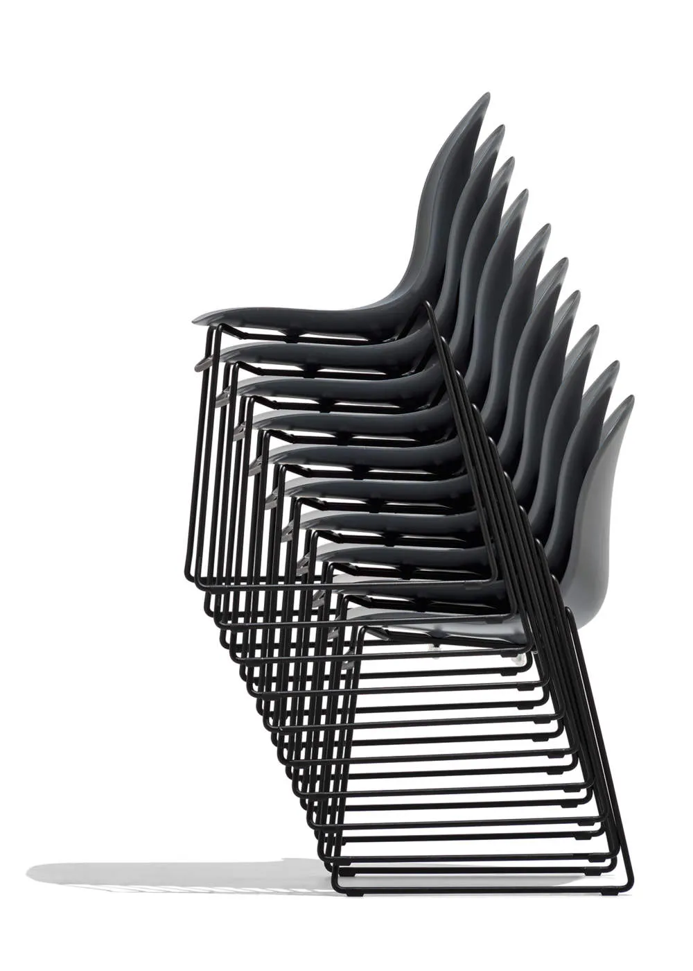 Connubia Academy pp dining chair // Academy pp étkezőszék