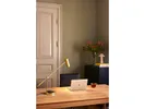 Hubble read lamp with wireless charging brushed brass// Hubble olvasólámpa vezeték nélküli csiszolt réz